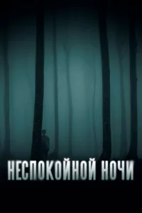 Неспокойной ночи 